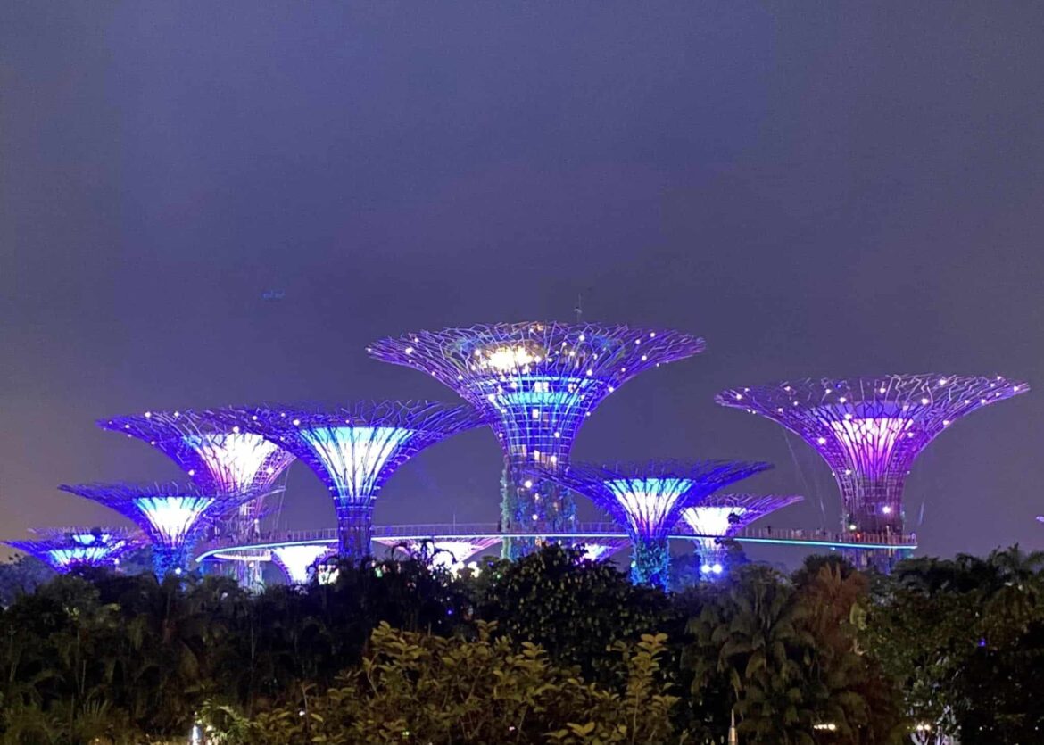 Singapore Standard Chartered Marathon 新加坡渣打馬拉松